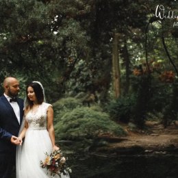 Wedding at the top - Kamerzysta na wesele