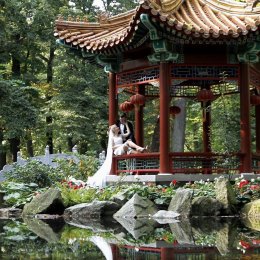 Kamerzysta Ostrołęka - Kamerzysta na wesele