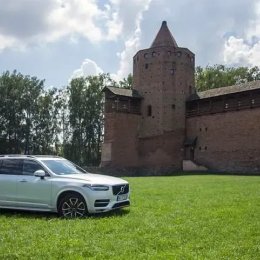 Tulipan - wynajem samochodów do ślubu z tulipanowym szoferem - Auto do ślubu