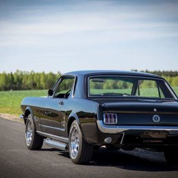 Klasyk do Wynajęcia - Auto do ślubu