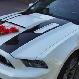 BEF Wynajem - Auto do ślubu