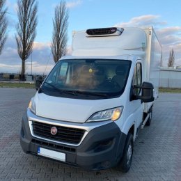 Transport Chłodniczy Matysiak - Auto do ślubu