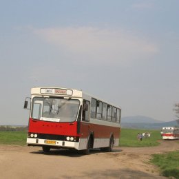 Zabytkowe autobusy do ślubu i nie tylko - Auto do ślubu