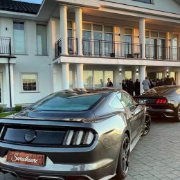 Weselna Furmanka - Auto do ślubu