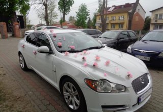 JAGUAR XF do ślubu