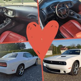 PRO-LOG - Auto do ślubu