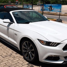 MuscleCarRent - Auto do ślubu