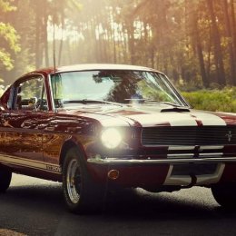 WŁODAR-EVENT - Auto do ślubu