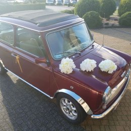 ROVER MINI Open Classic Katowice i okolice - Auto do ślubu