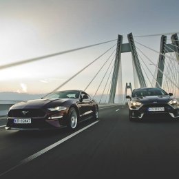 ANSCars - Auto do ślubu