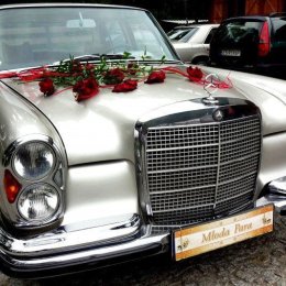 Auto do ślubu zabytkowy Mercedes W108 - Auto do ślubu