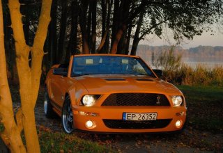 Mustangiem i Fiatem 125p Do Ślubu