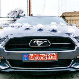 weselneabc - Auto do ślubu