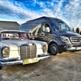 M Bus Kraków - wynajem busów i autokarów - Auto do ślubu