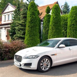 Białym do ślubu - Auto do ślubu