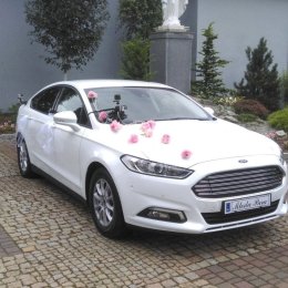 AG INVEST - Auto do ślubu