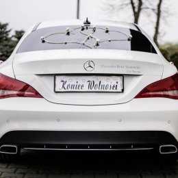 BavariaBossLogistics - Auto do ślubu