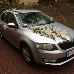 Transport Misiek - Auto do ślubu