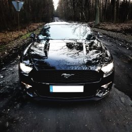 AmericanDream auto do ślubu - Auto do ślubu