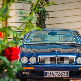 HollywoodCars - Auto do ślubu