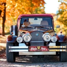 Nestor Baron - auta do wynajęcia - Auto do ślubu