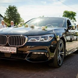 GoLux.pro - Auto do ślubu