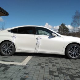 Lexus - Auto do ślubu