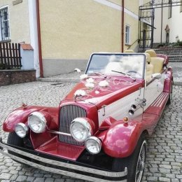 Fontanny czekolady, palmy owocowe - Auto do ślubu