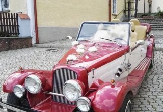 Fontanny czekolady, palmy owocowe