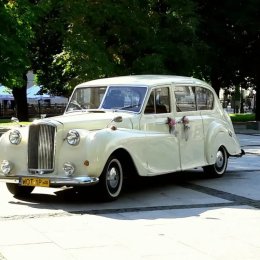 Auto do ślubu zabytkowy samochód Austin Princess Rolls - Auto do ślubu