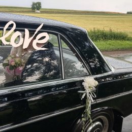 Pedanteria Sosnowiec Auta ślubne - Auto do ślubu