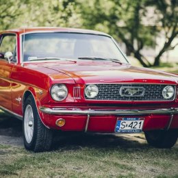 SpecialCars - Auto do ślubu