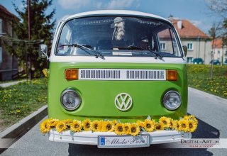 VW ogórek T2 - Glutek