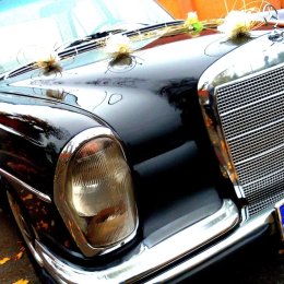 Mercedesnawynajem - Auto do ślubu