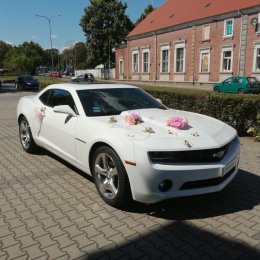 CAMARO - Auto do ślubu