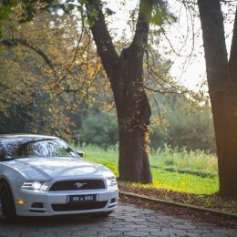 Ford MUSTANG do ślubu prowadź sam - Auto do ślubu