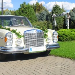 Motoryzacyjne Marzenia - Auto do ślubu