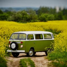 Ogórem do ślubu - Auto do ślubu