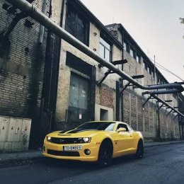 Camaro Bumblebee - Auto do ślubu