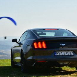 Michał Gosztyła - Auto do ślubu