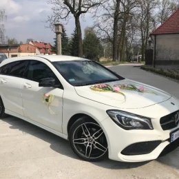 Wynajem nowych aut - Auto do ślubu
