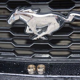 Ford Mustang do Ślubu najnowszy model - Auto do Ślubu - Auto do ślubu