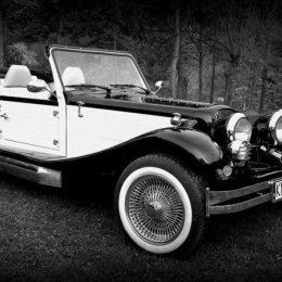 Nestor Baron, wyjątkowy kabriolet na Twój Ślub - Auto do ślubu