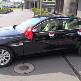 Real rent.pl Rzeszów - Auto do ślubu