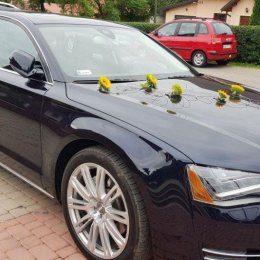 Komfortowe AUDI A8 LONG - Auto do ślubu