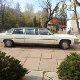 Limuzyna trojmiasto - Auto do ślubu