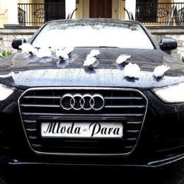Samochody ślubne Dąbrowa Górnicza - Auto do ślubu