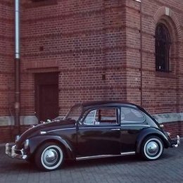 Garbus Hrabi - Auto do ślubu