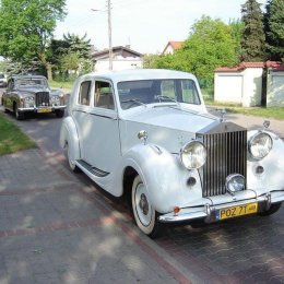 Classic Cars - Auto do ślubu