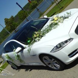 www.jaguardoslubu.com - Auto do ślubu